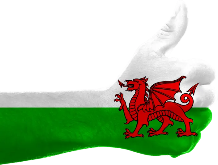 marketing your business on St David’s Day