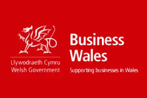 ways Business Wales could help your SME