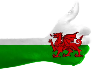marketing your business on St David’s Day