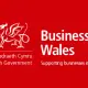 ways Business Wales could help your SME